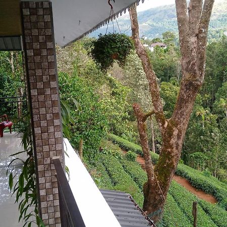Green Tea View Munnar Esterno foto